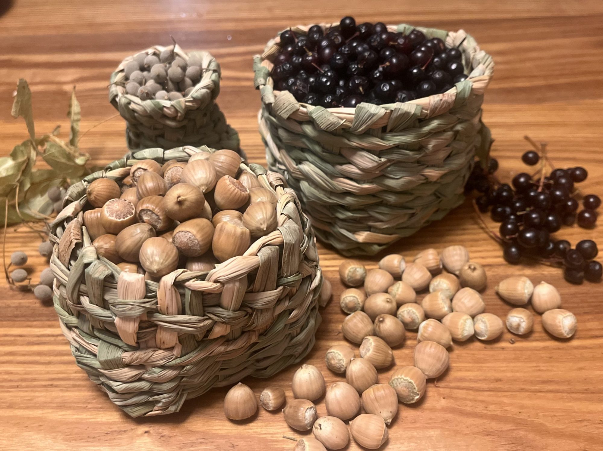 Hazelnuts, chokecherries and basswood seeds in cattail baskets